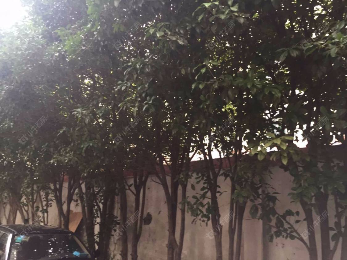 音苑小区封面图_小牛看房