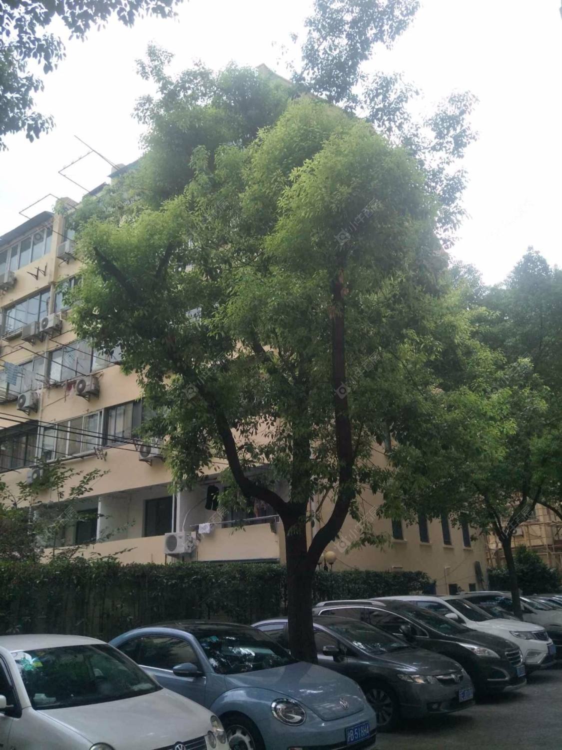 上海康定汽车公寓小区_康定汽车公寓小区null