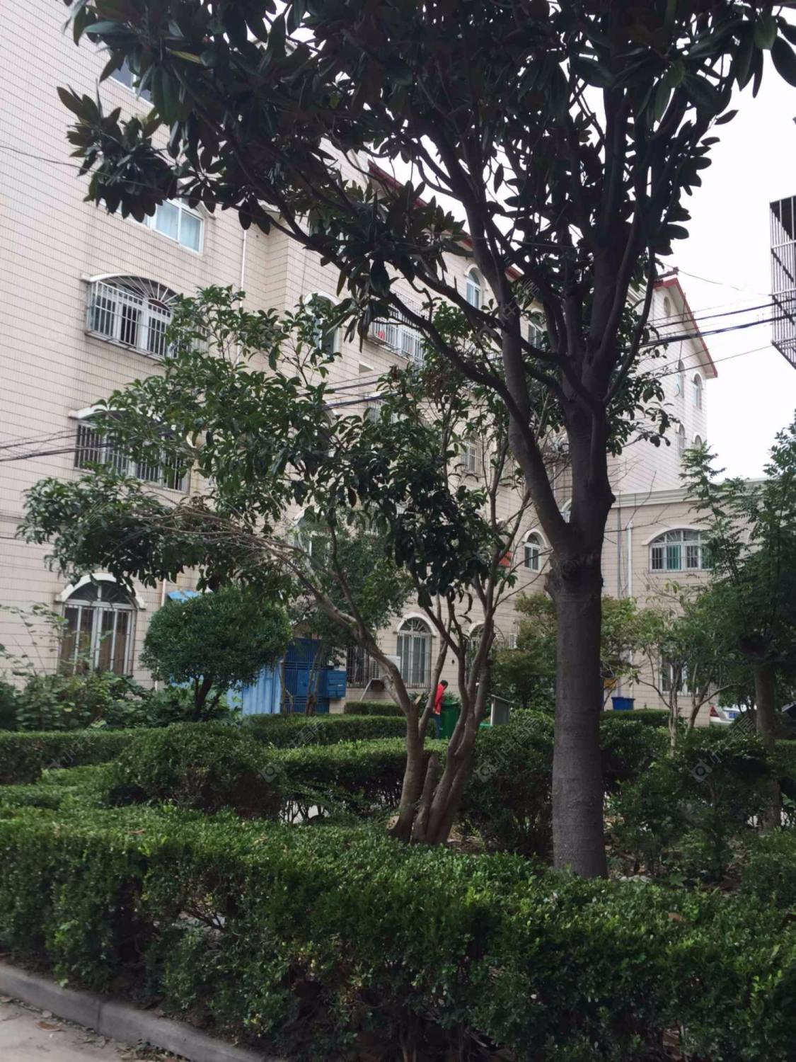 上海果园路145弄41支弄小区_果园路145弄41支弄小区null