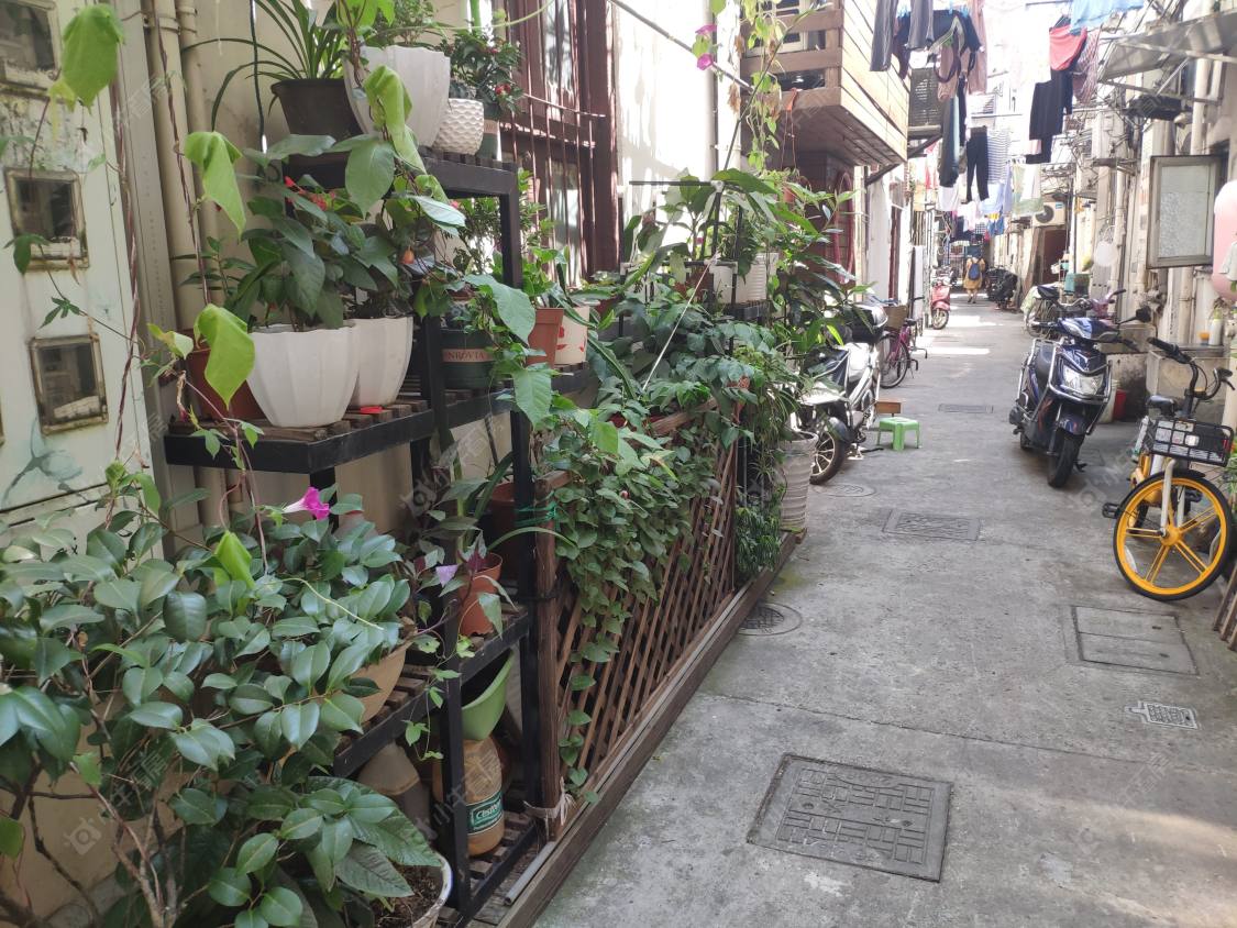 上海三乐坊小区_三乐坊小区null