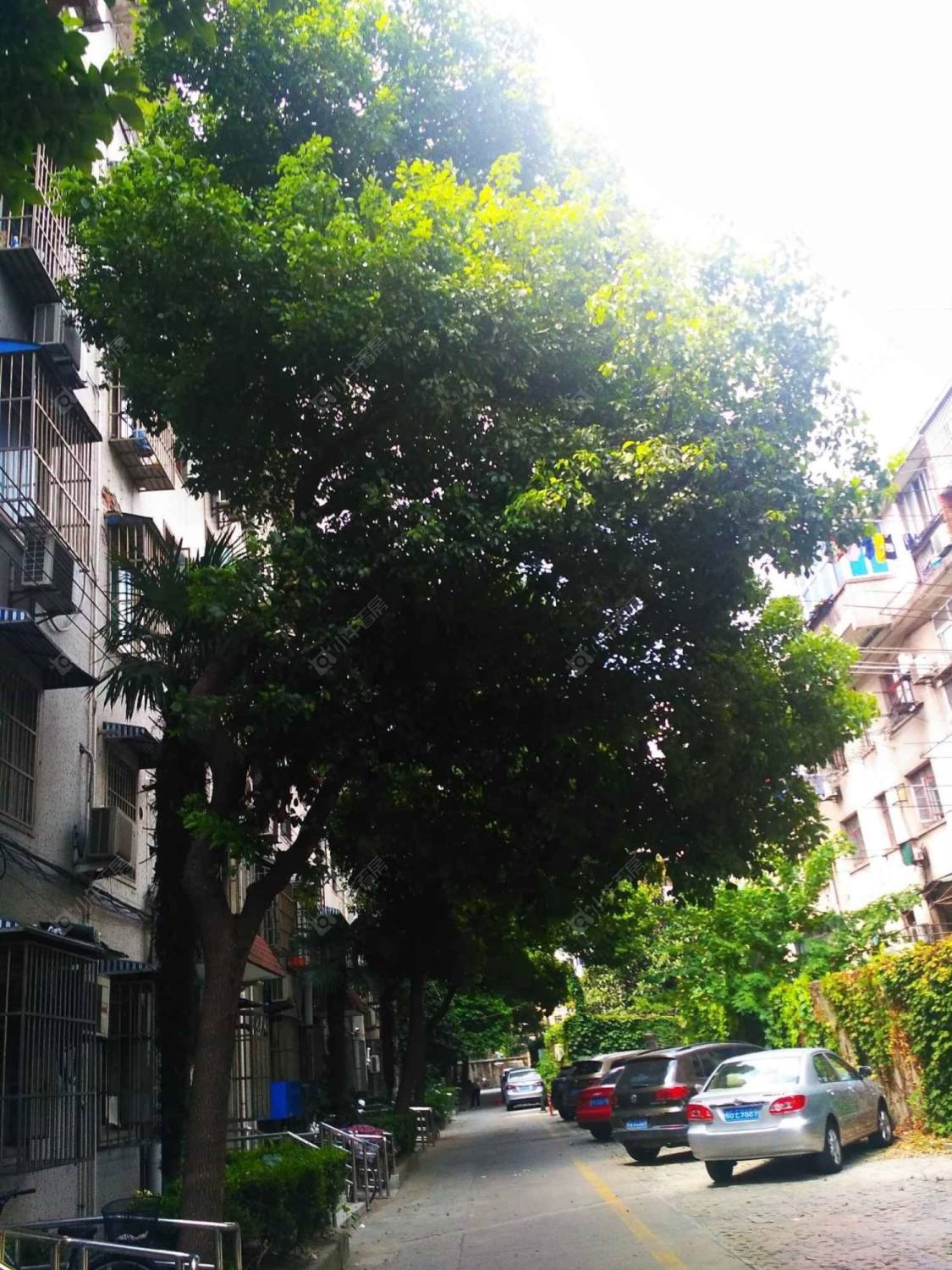 上海桃园新村(嘉定)小区_桃园新村(嘉定)小区null