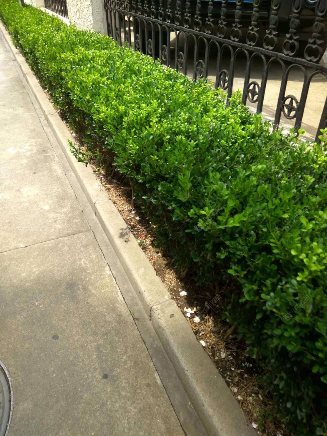 上海嘉乐公寓小区_嘉乐公寓小区null