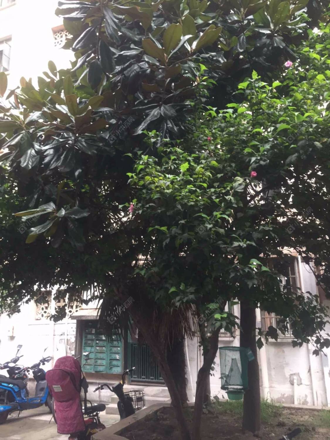 上海公兴路39弄小区_公兴路39弄小区null