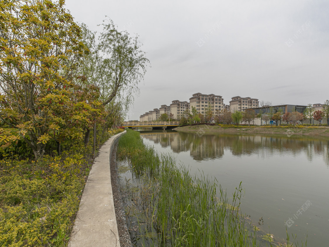 上海十里江湾289弄小区_十里江湾289弄小区null