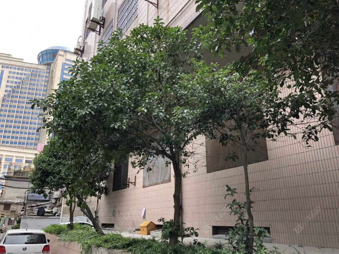 上海长阳路24弄小区_长阳路24弄小区null