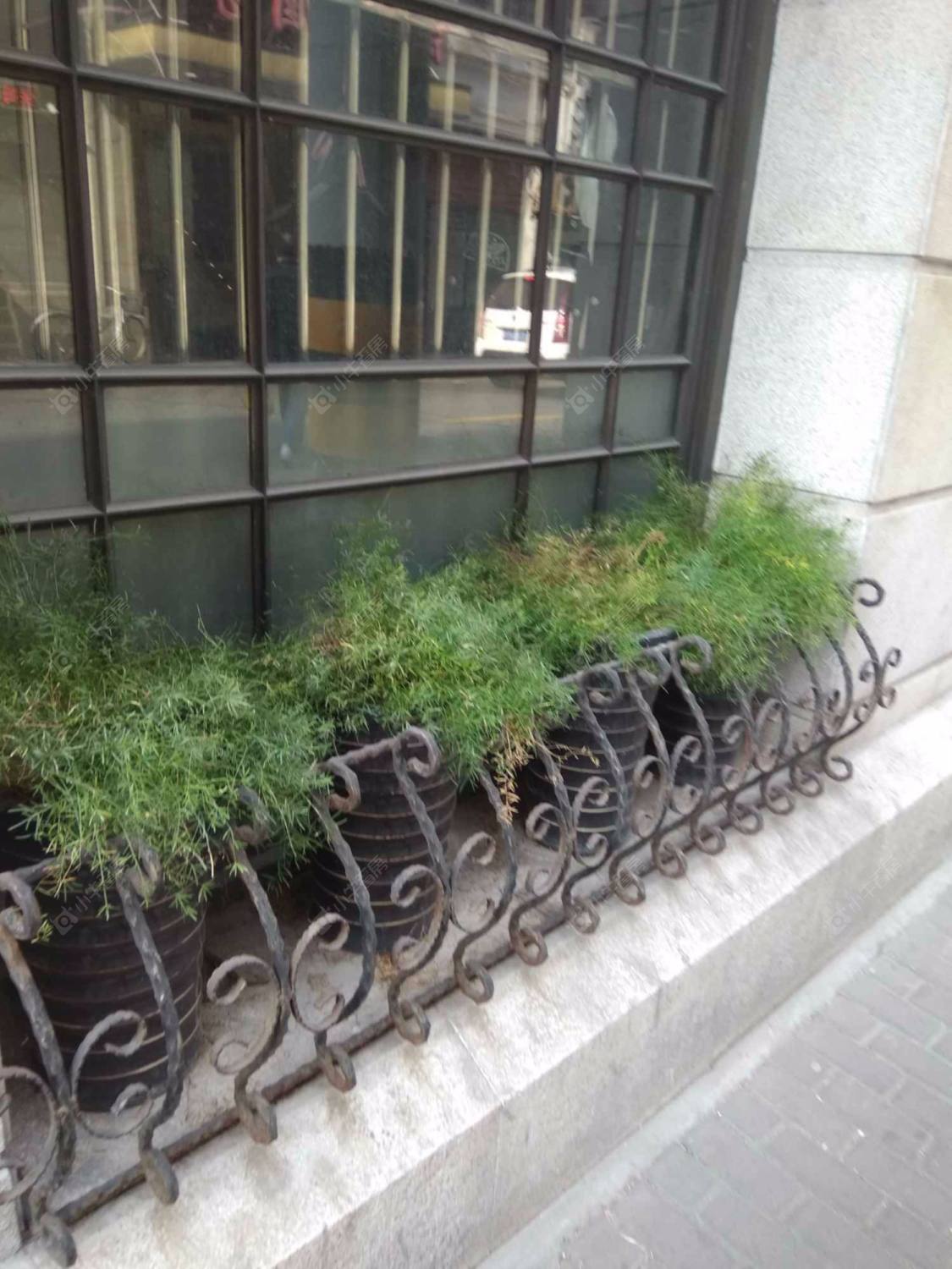 上海上海小楼小区_上海小楼小区null