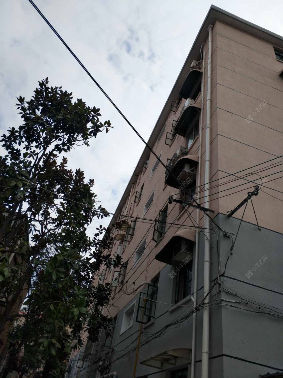 上海虹教二村小区_虹教二村小区null