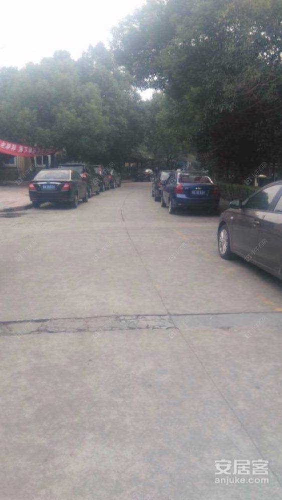 爱丽雅花苑封面图_小牛看房