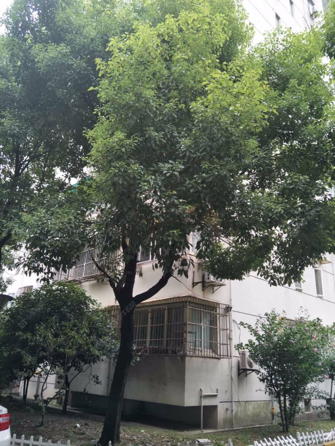 申通公寓封面图_小牛看房