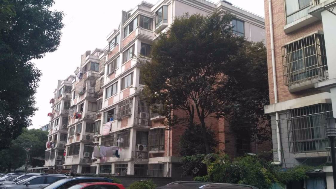 上海紫菊新苑小区_紫菊新苑小区null