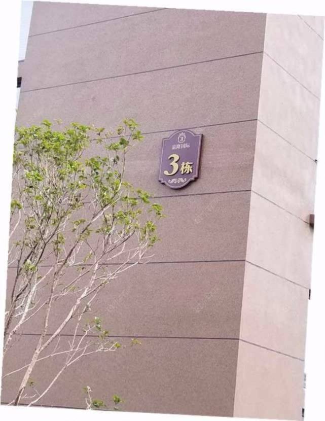 上海嘉隆国际小区_嘉隆国际小区null