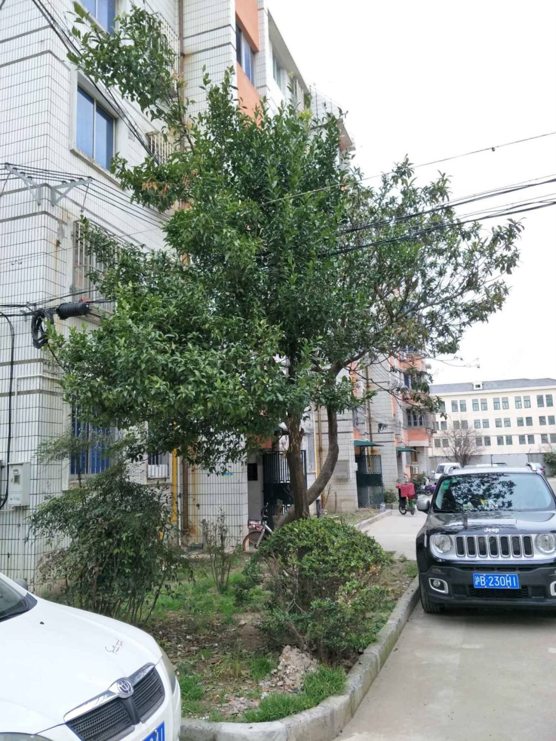 上海新崇南路298弄小区_新崇南路298弄小区null