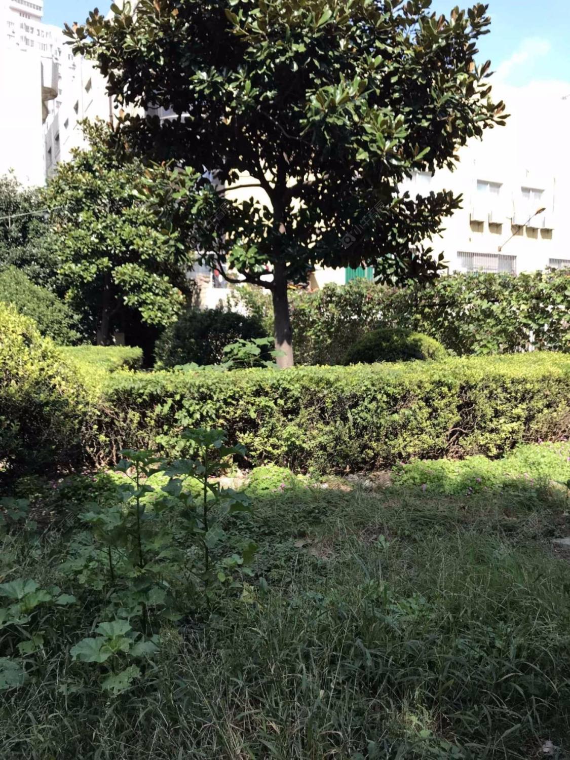 上海明珠花苑(浦东)小区_小牛看房