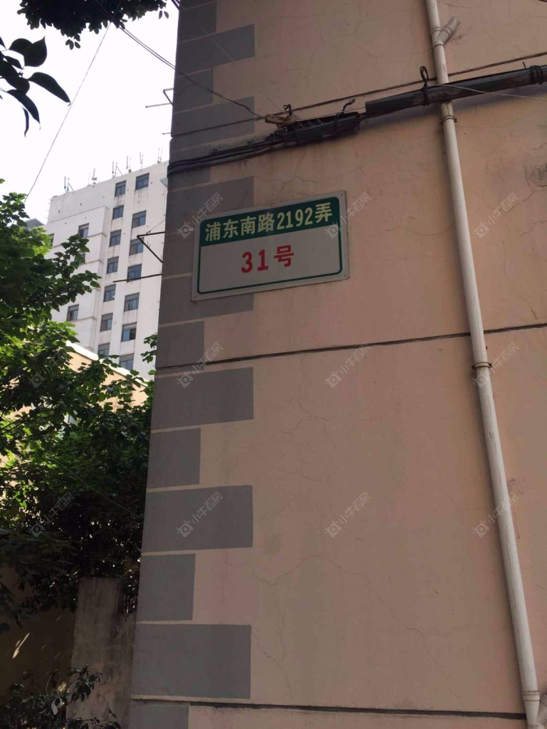 上海西邱小区小区_西邱小区小区null