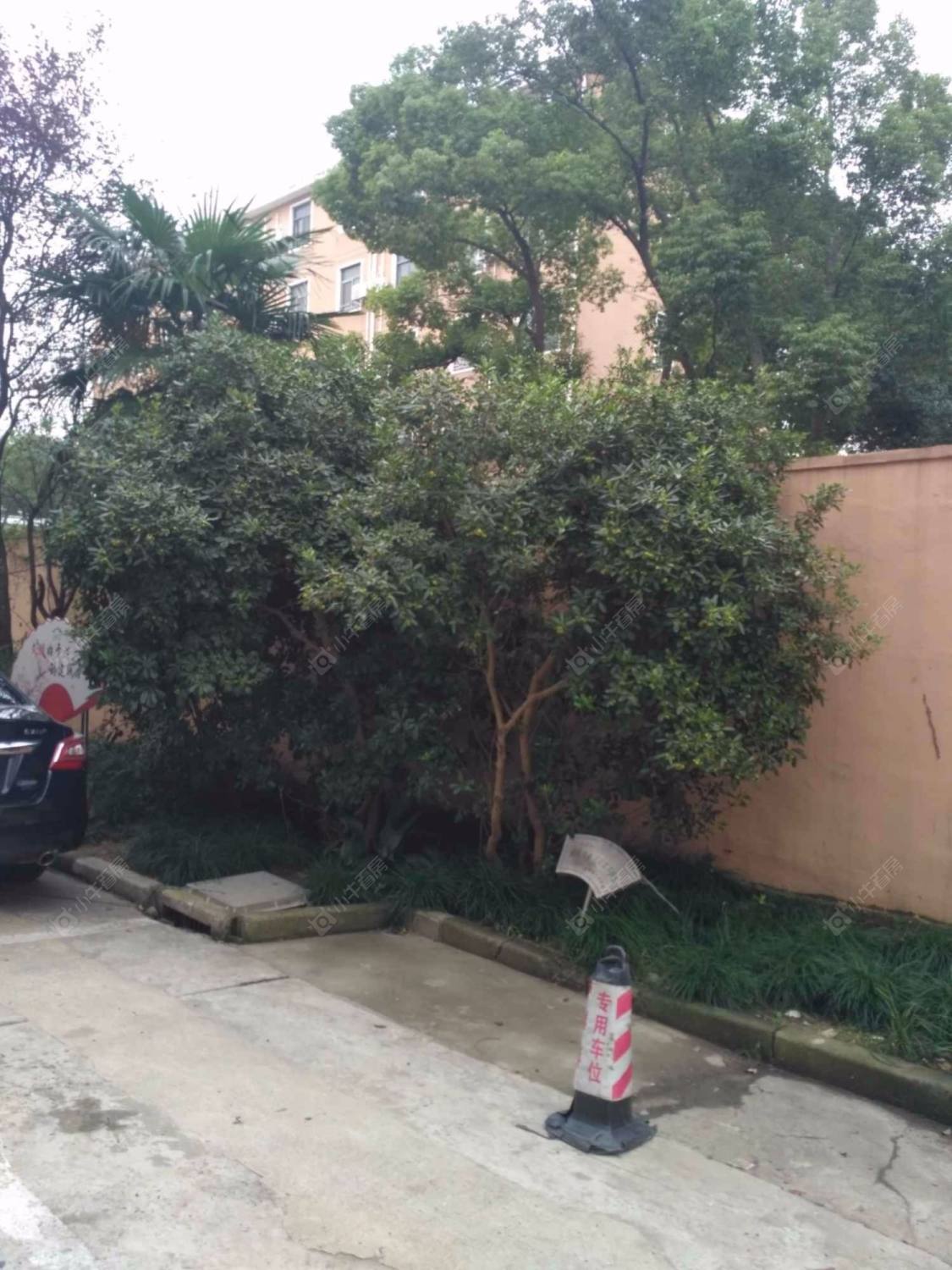 金鹏花苑封面图_小牛看房