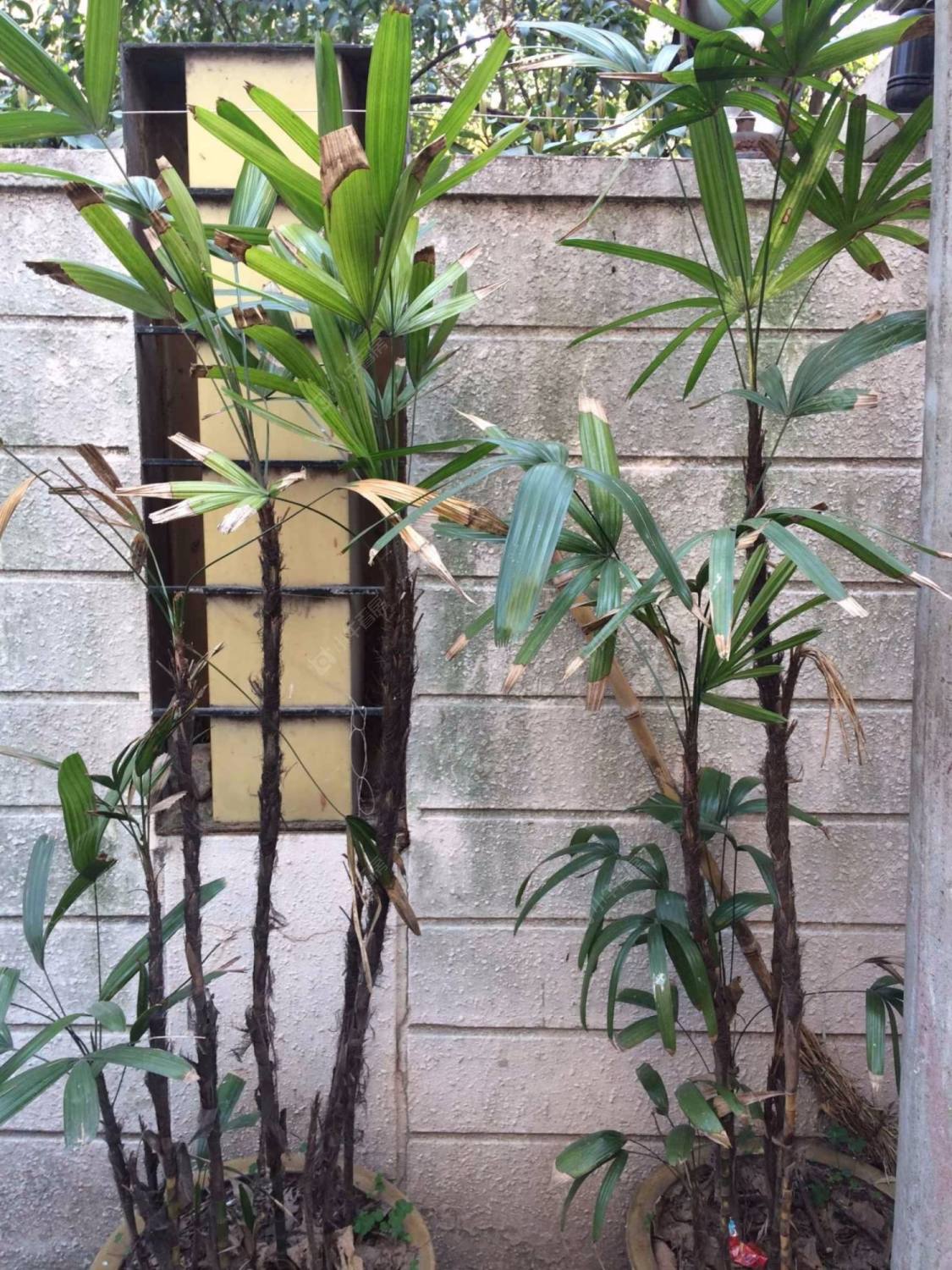 上海兴国路318弄小区_兴国路318弄小区null