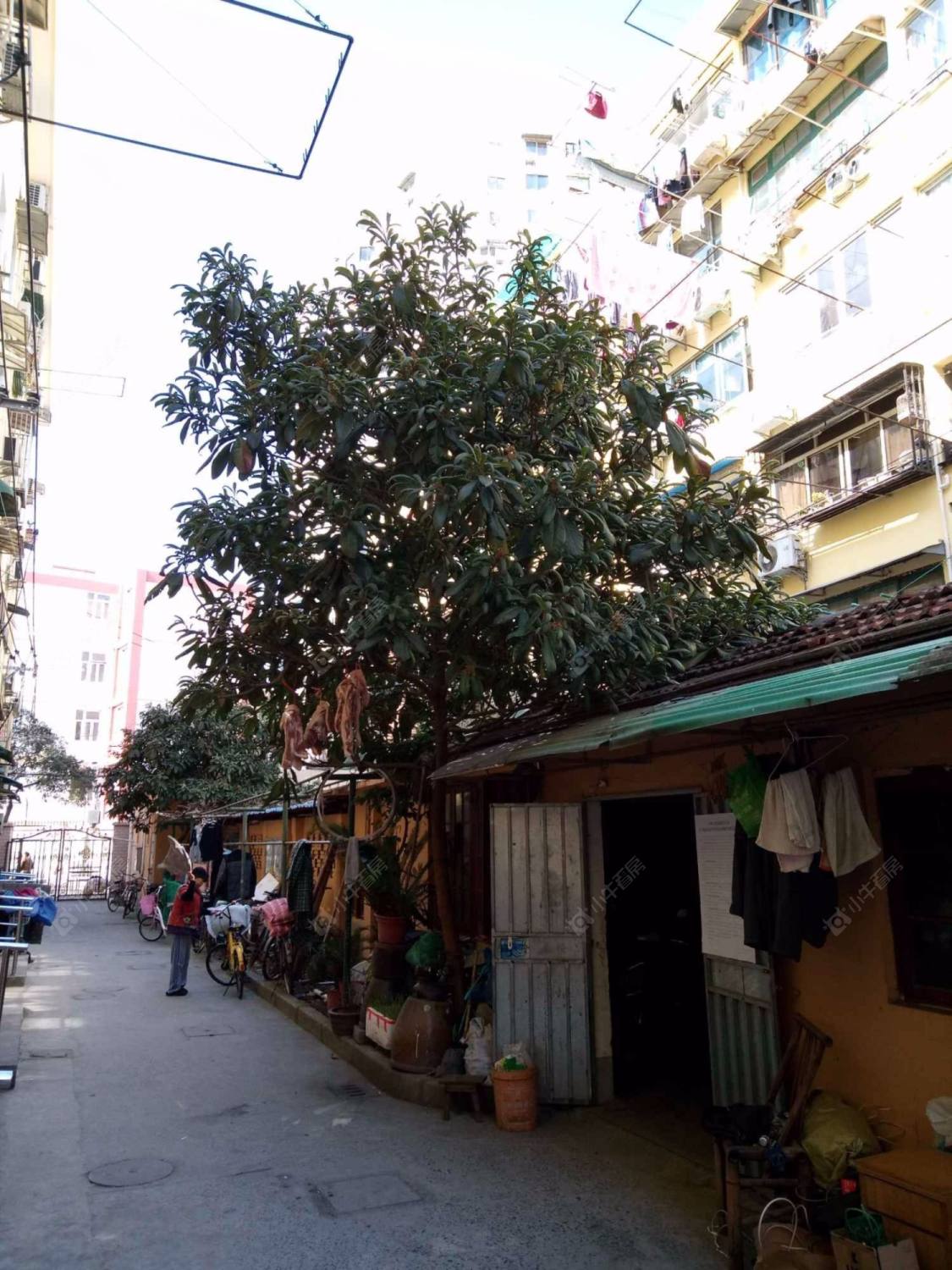 上海长宁支路306弄小区_长宁支路306弄小区null