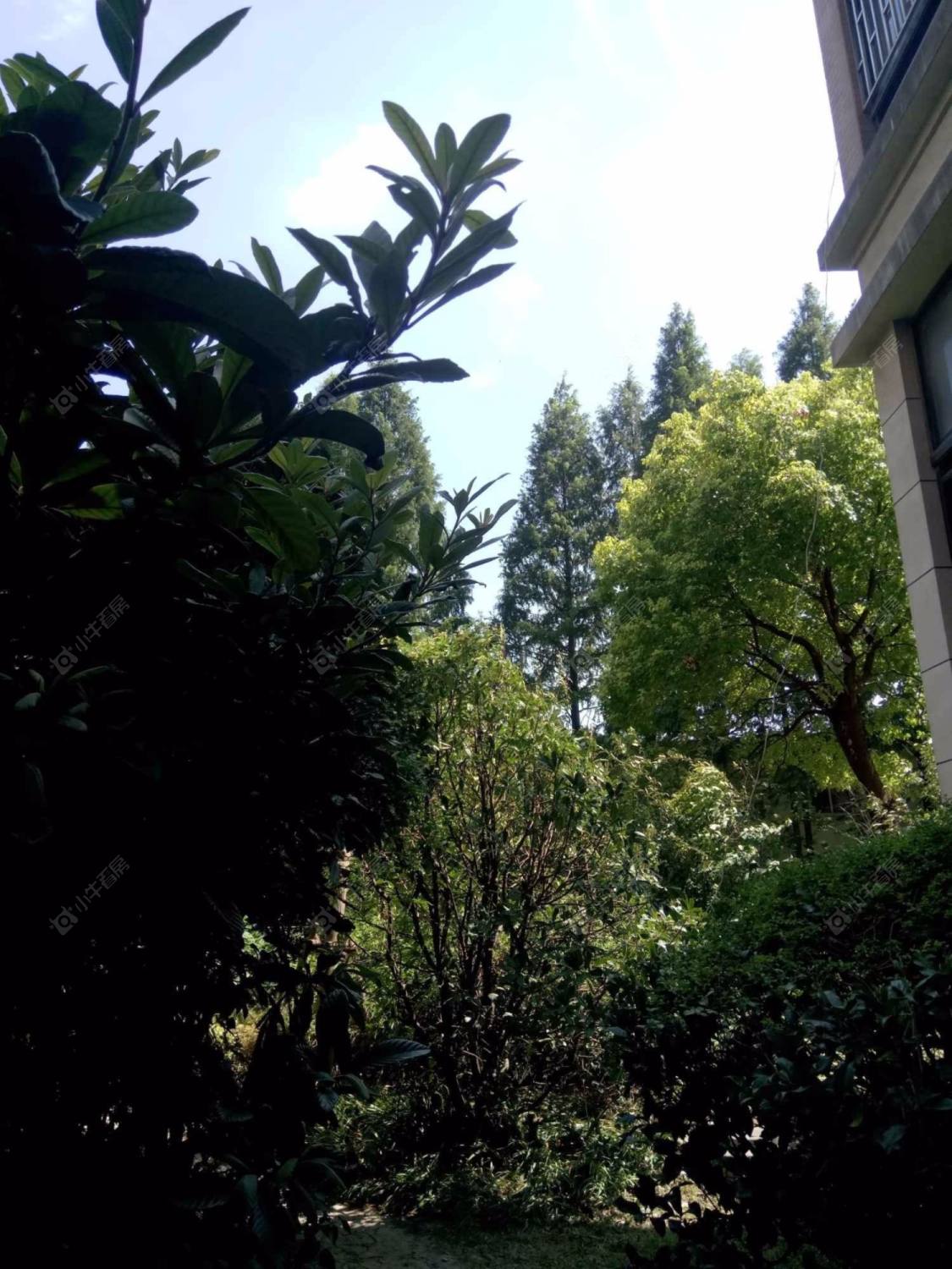 上海共康雅苑一期西区小区_共康雅苑一期西区小区null