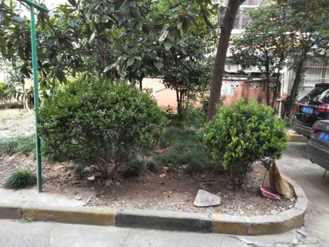 上海宝通路244弄小区_宝通路244弄小区null