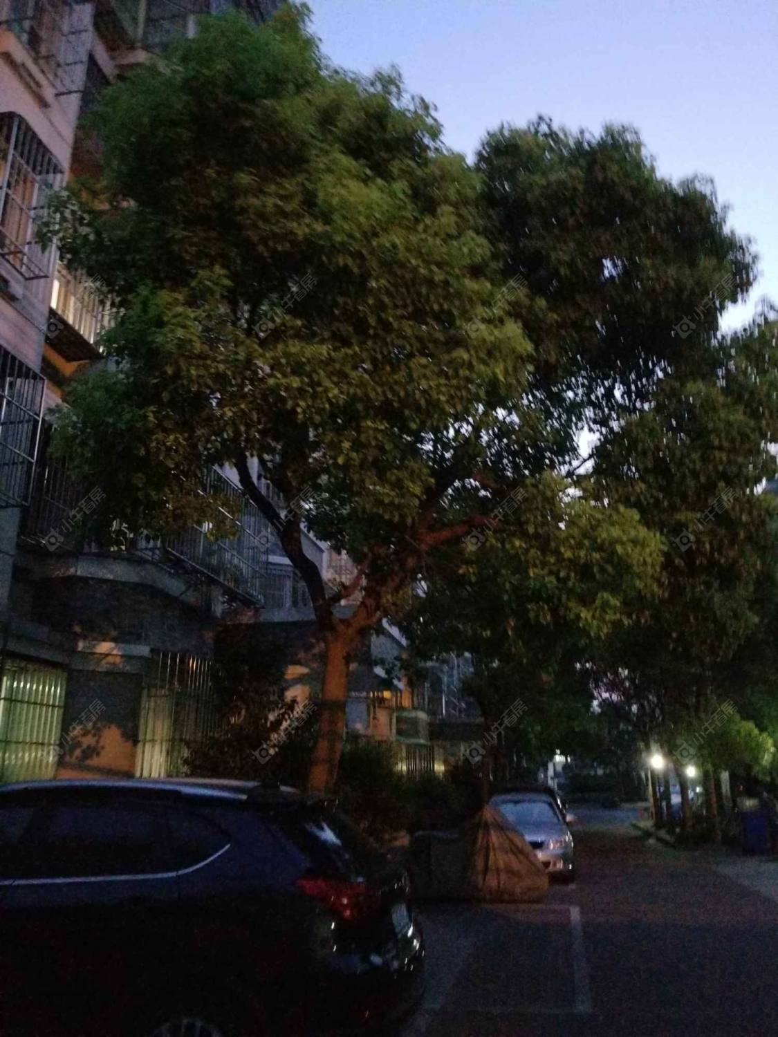 上海金汇广场一期小区_金汇广场一期小区null