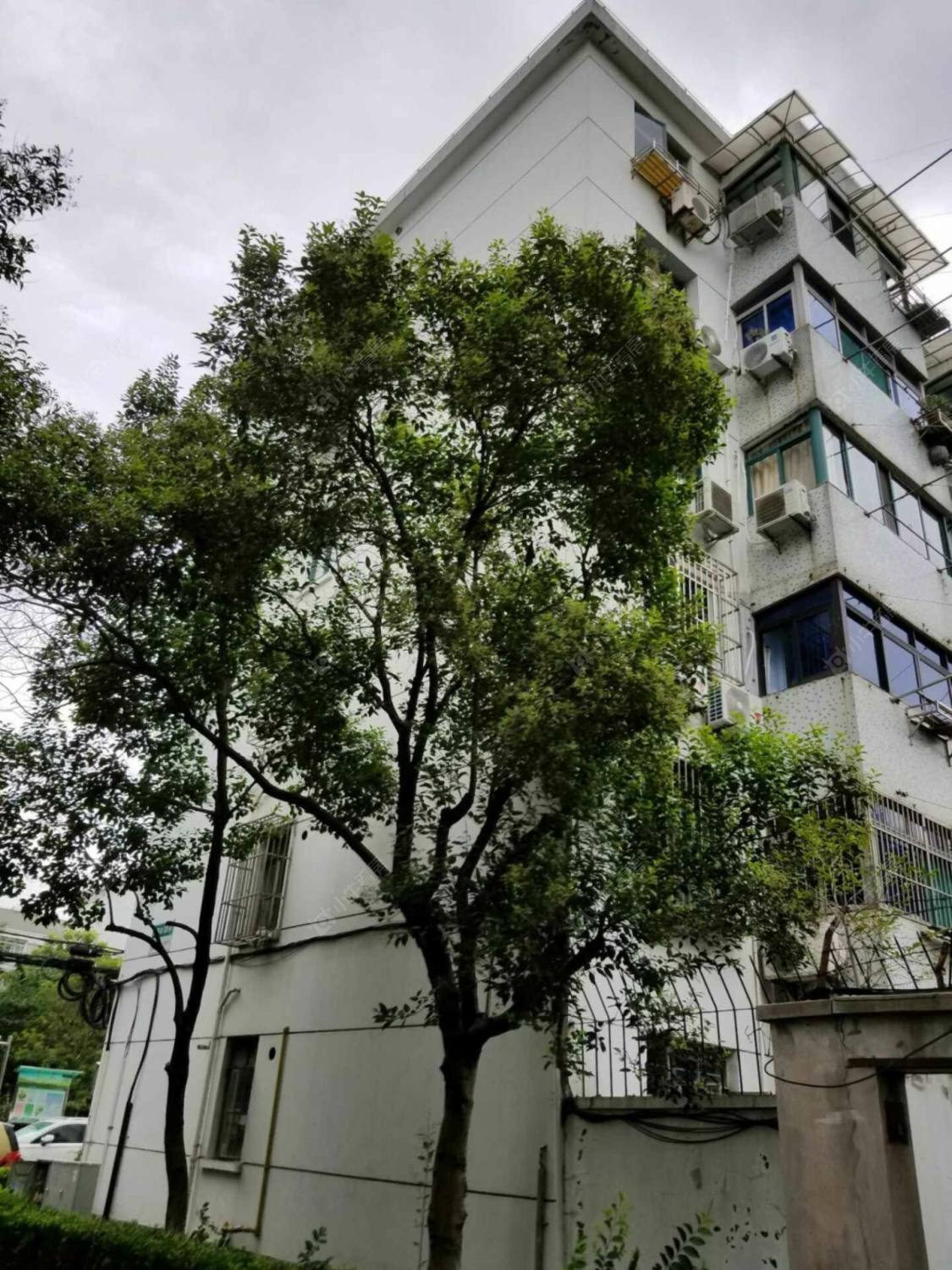 上海平阳一村小区_平阳一村小区null