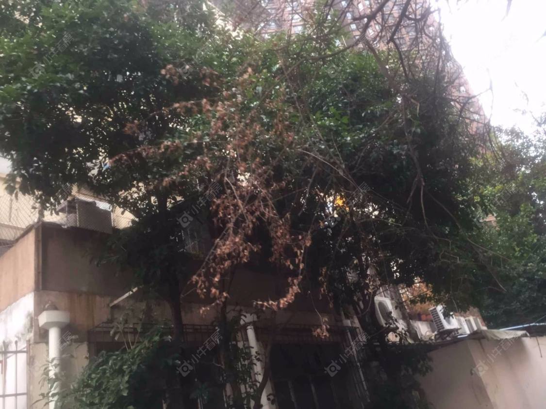 上海公兴路小区_公兴路小区null