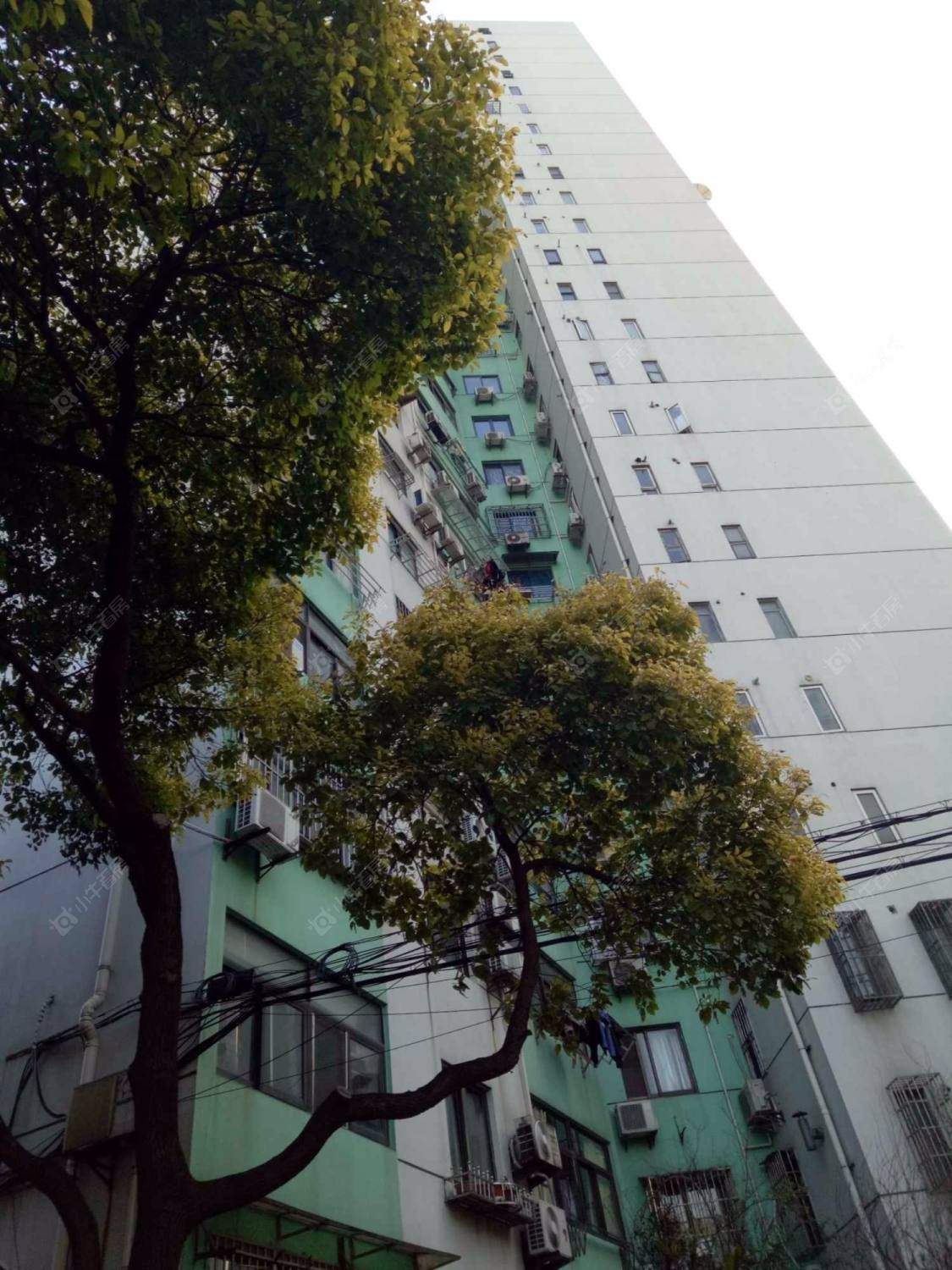 上海新园大楼小区_小牛看房