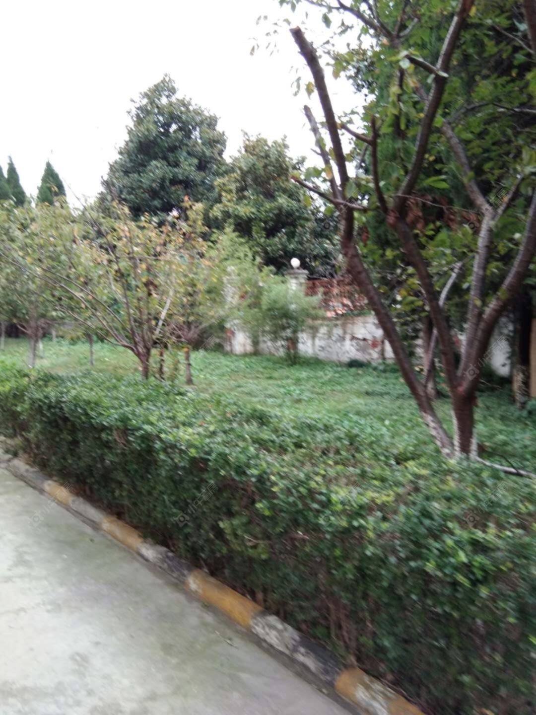 上海富丽公寓西区小区_小牛看房