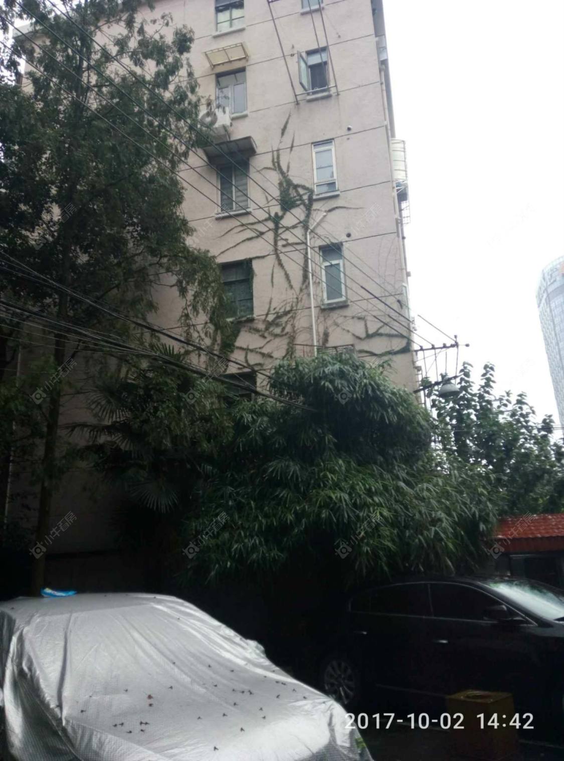 上海塘沽小区小区_塘沽小区小区null