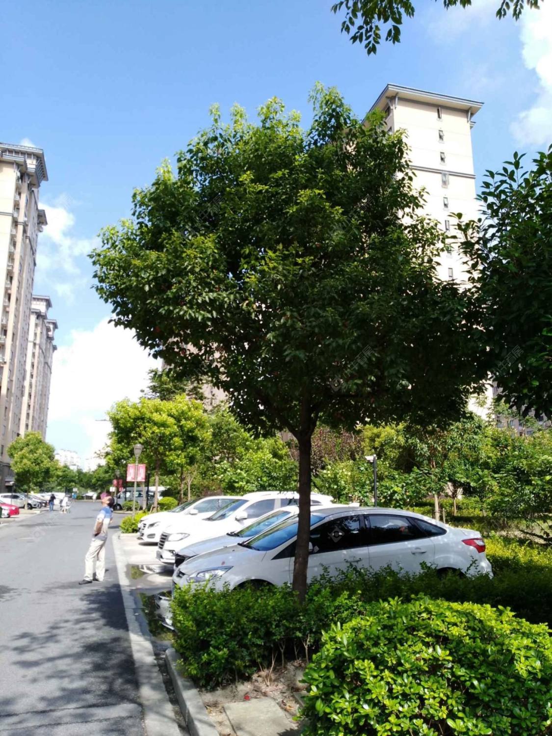 上海浦江瑞和城捌街区小区_浦江瑞和城捌街区小区null