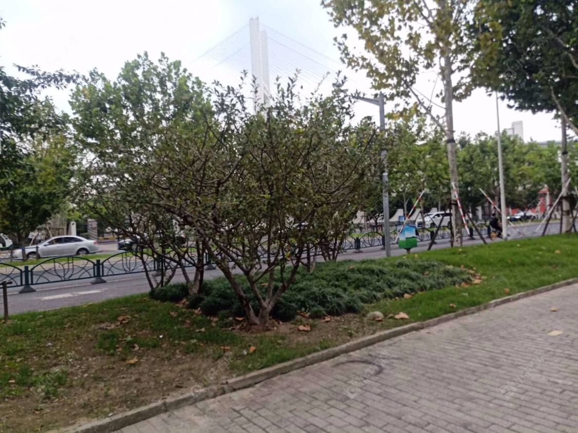 上海塘南路小区_塘南路小区null