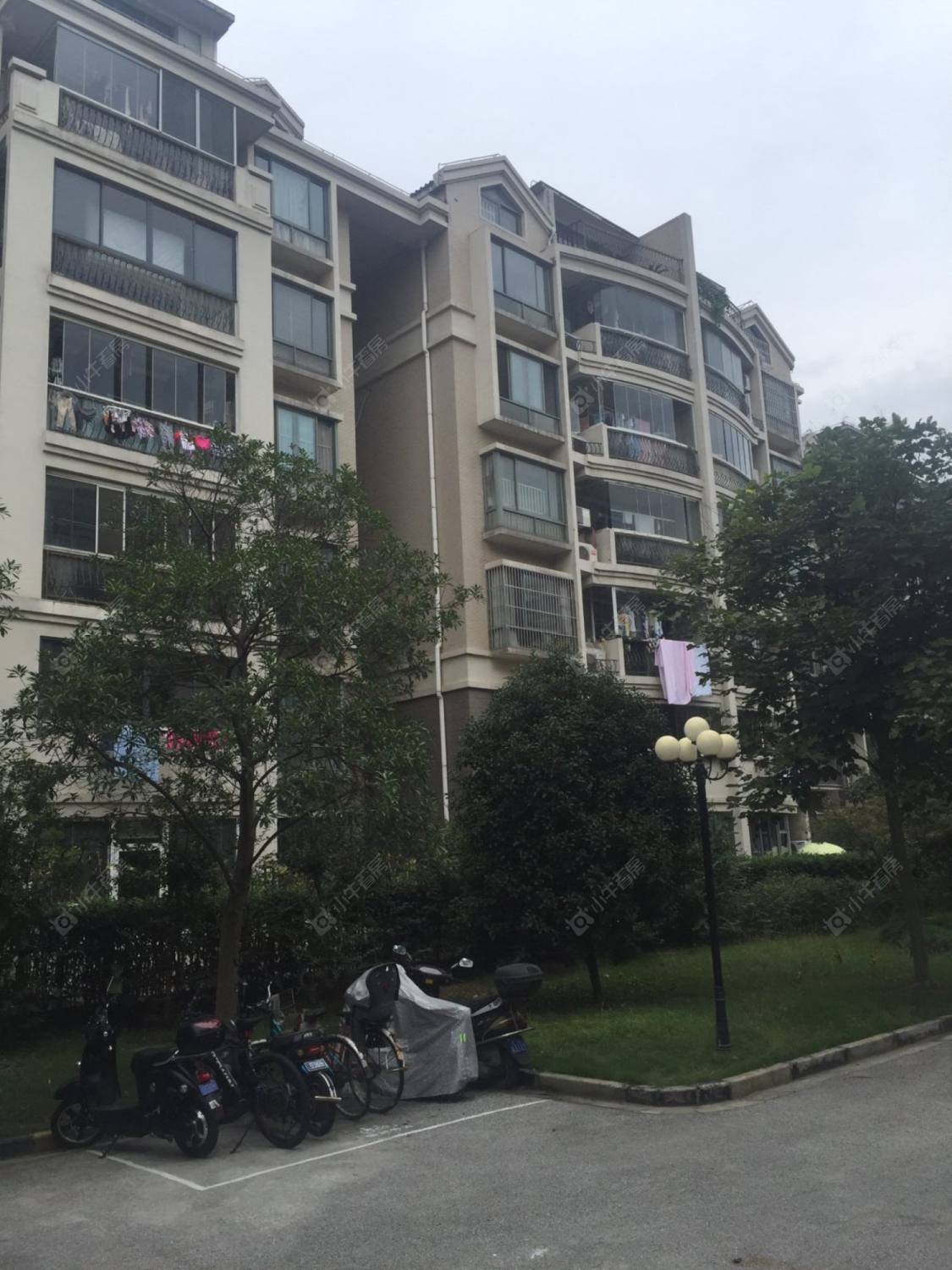 上海阳明国际花苑五期小区_阳明国际花苑五期小区null