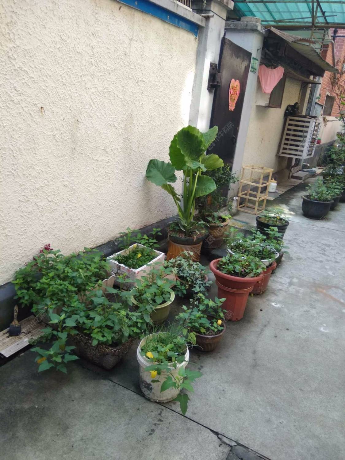 上海胶州路208弄小区_胶州路208弄小区null