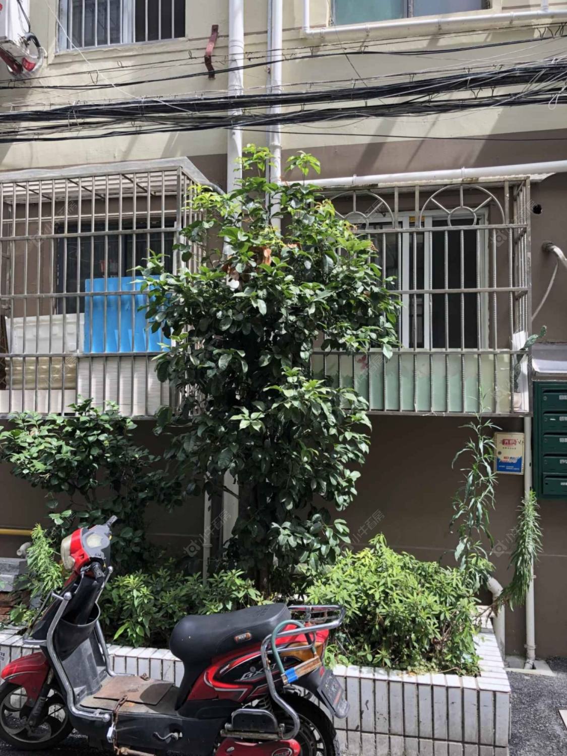 上海惠民路250弄小区_惠民路250弄小区null