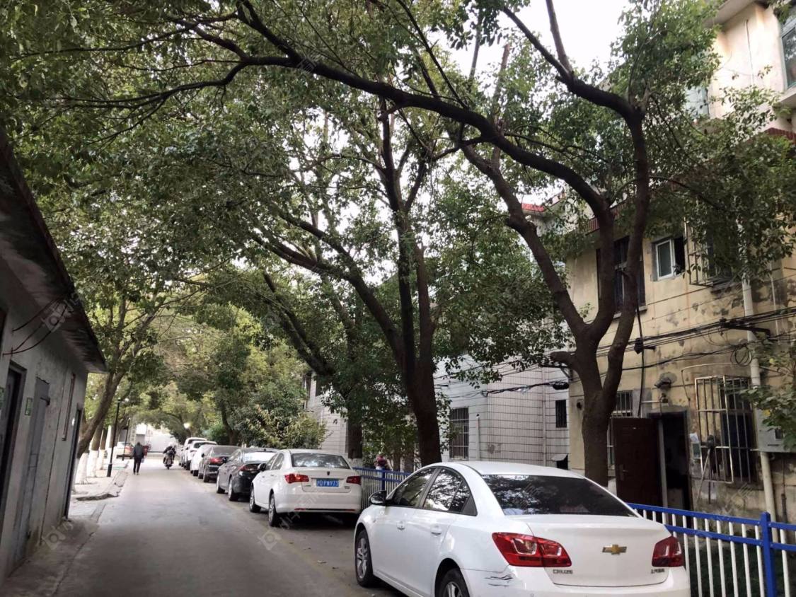 上海行南花园小区_行南花园小区null