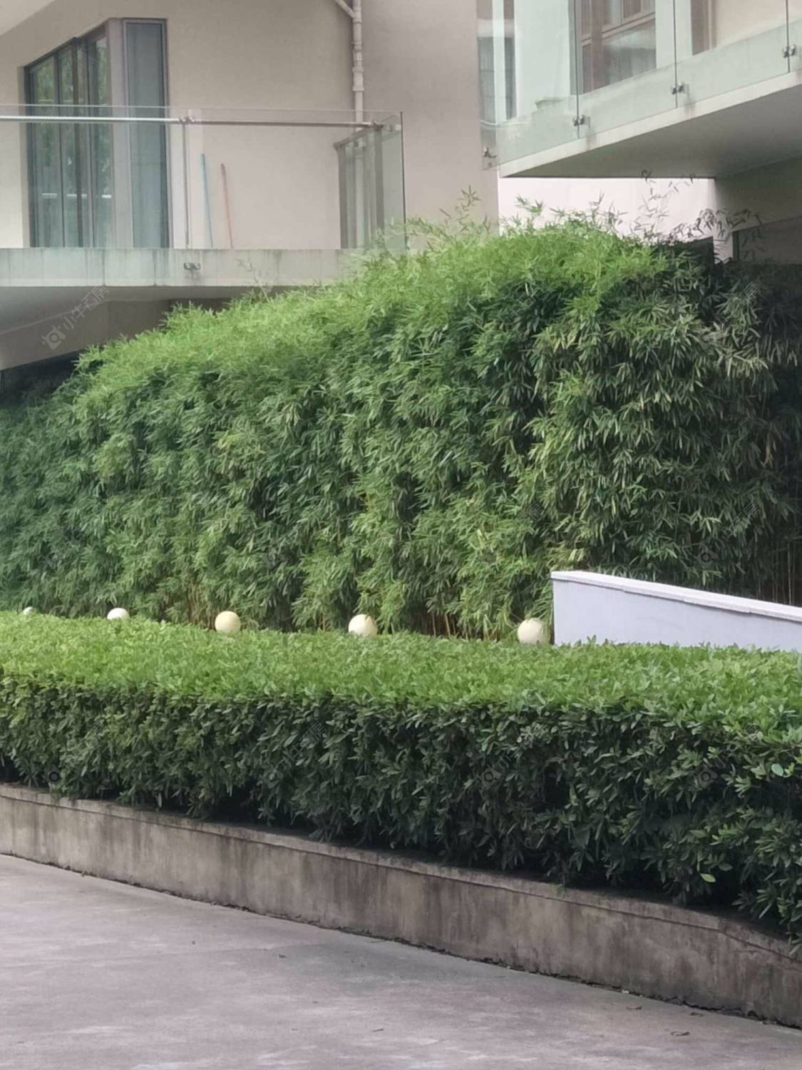 上海南阳世纪苑小区_南阳世纪苑小区null