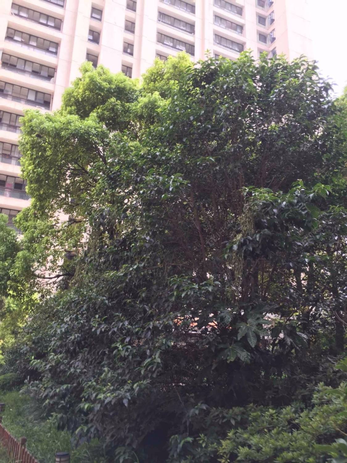 上海联富假日公寓小区_联富假日公寓小区null