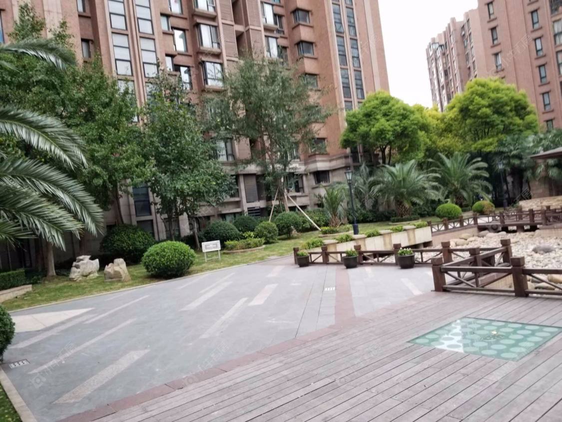 新虹桥雅苑封面图_小牛看房