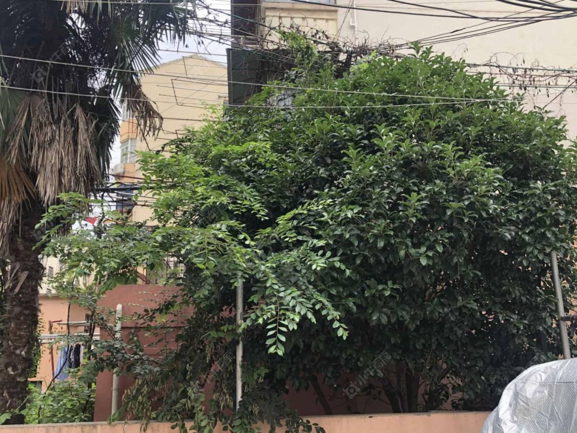 上海中山北路1297弄小区_中山北路1297弄小区null