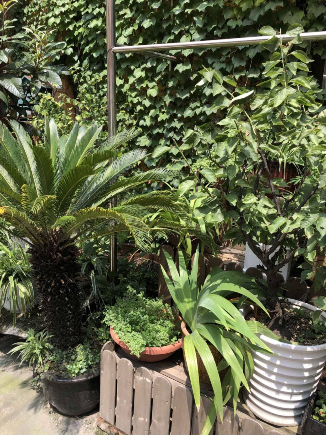 上海绍兴路76弄小区_绍兴路76弄小区null