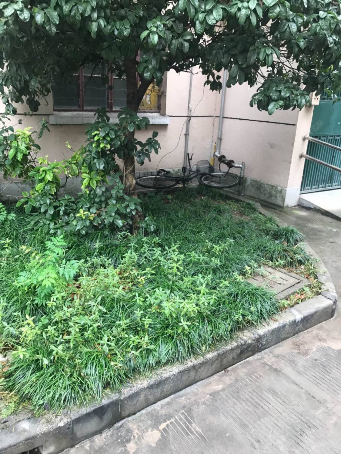 上海协和小区（延安西路1289弄）小区_协和小区（延安西路1289弄）小区null