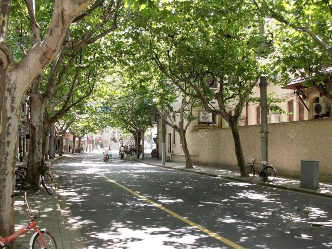 上海南昌路209弄小区_南昌路209弄小区null