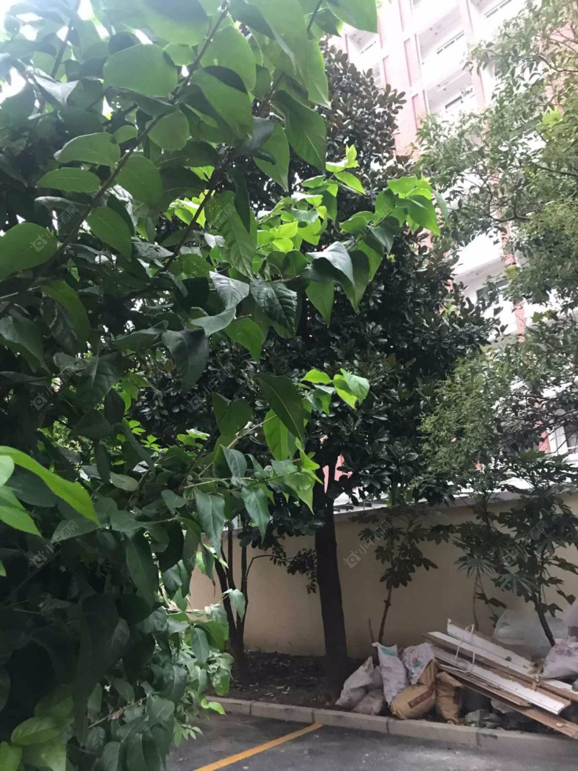 上海天山雅苑小区_天山雅苑小区null