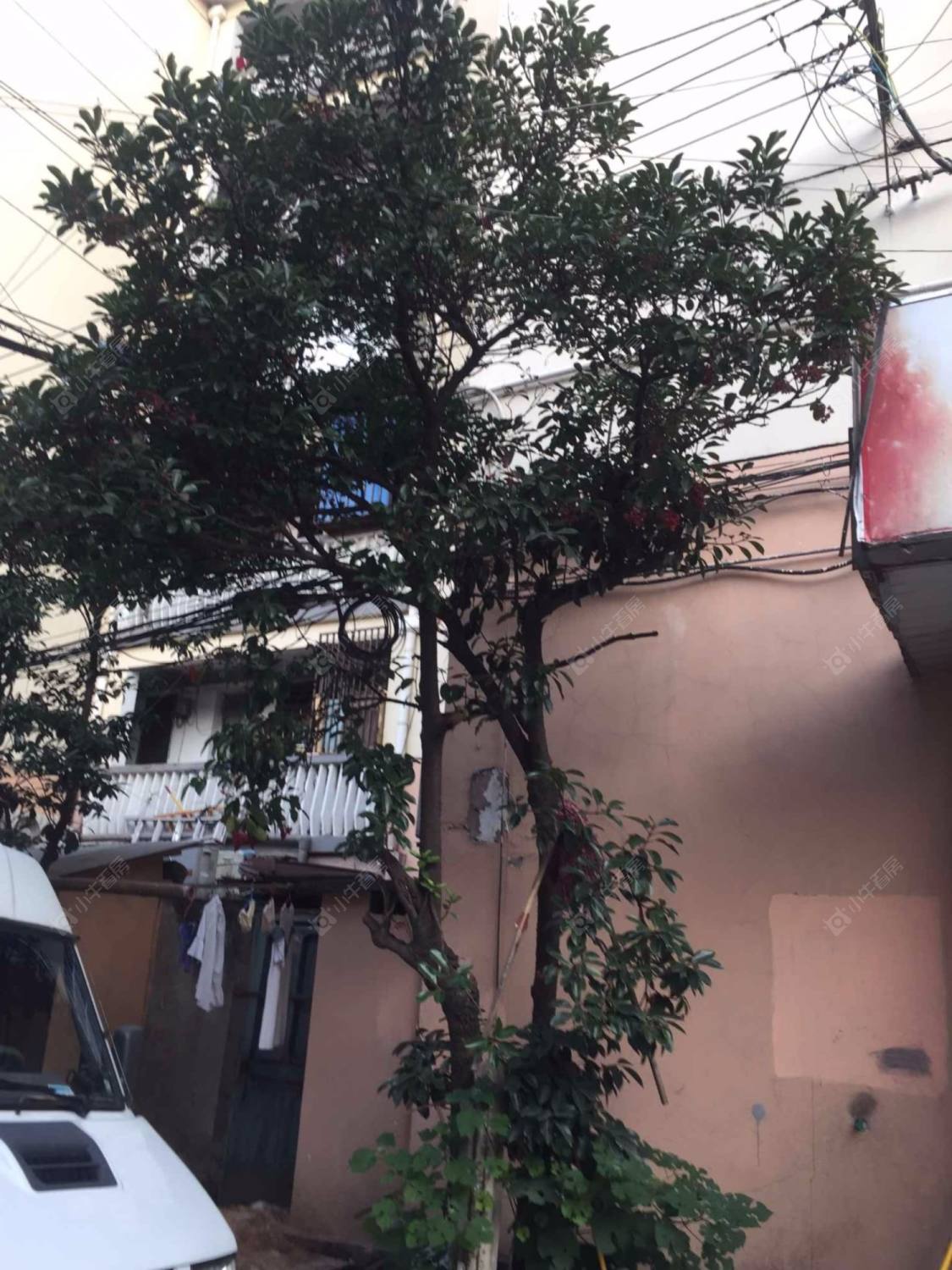 上海天通庵路（静安）小区_天通庵路（静安）小区null