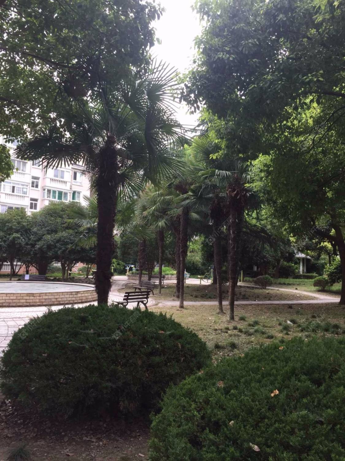 上海浦东新世纪花苑三期小区_浦东新世纪花苑三期小区null