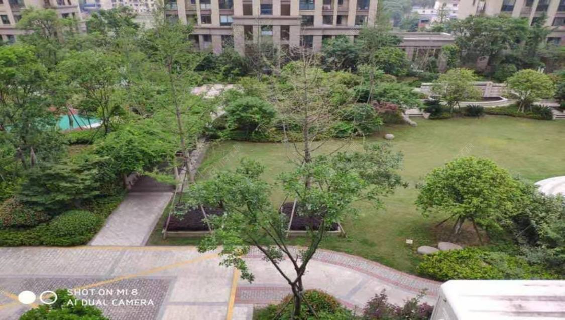 上海文化新村(泥城)小区_小牛看房