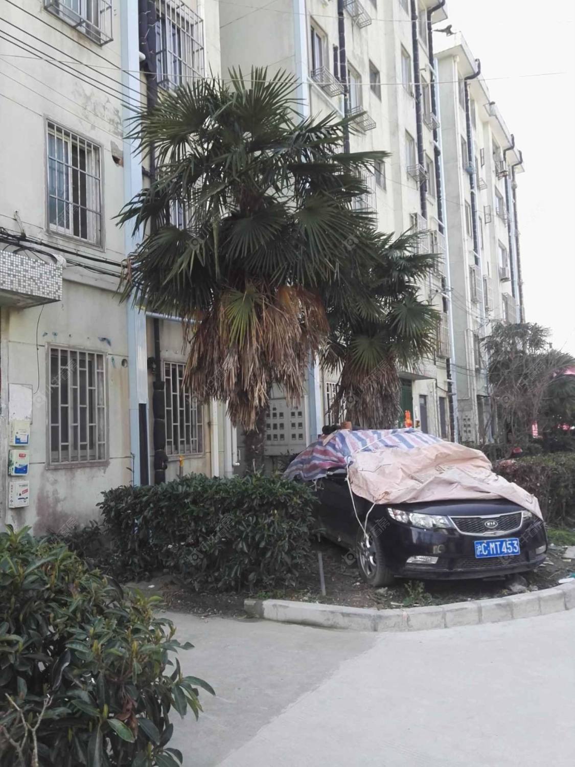 上海青浦珠光苑小区_青浦珠光苑小区null