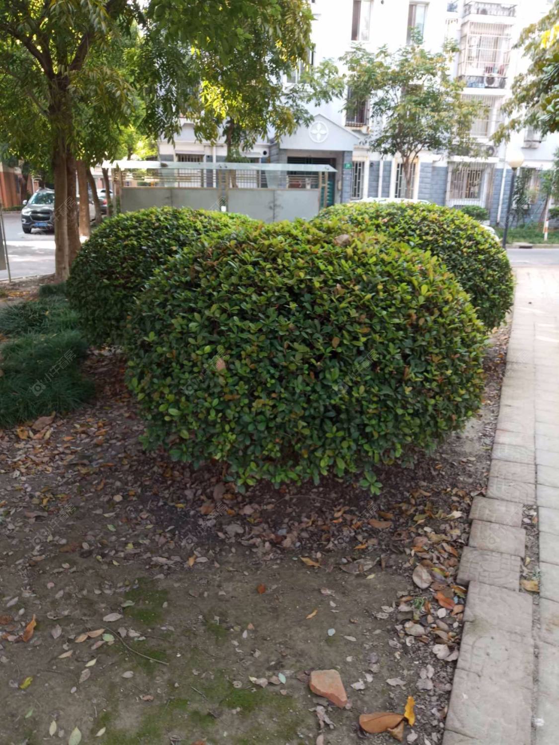 芳华路580弄封面图_小牛看房