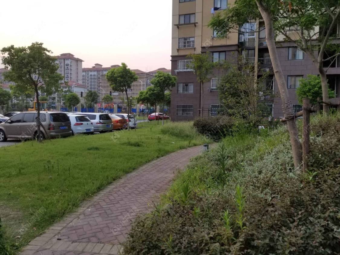 上海民乐城惠益绿苑东苑小区_民乐城惠益绿苑东苑小区null