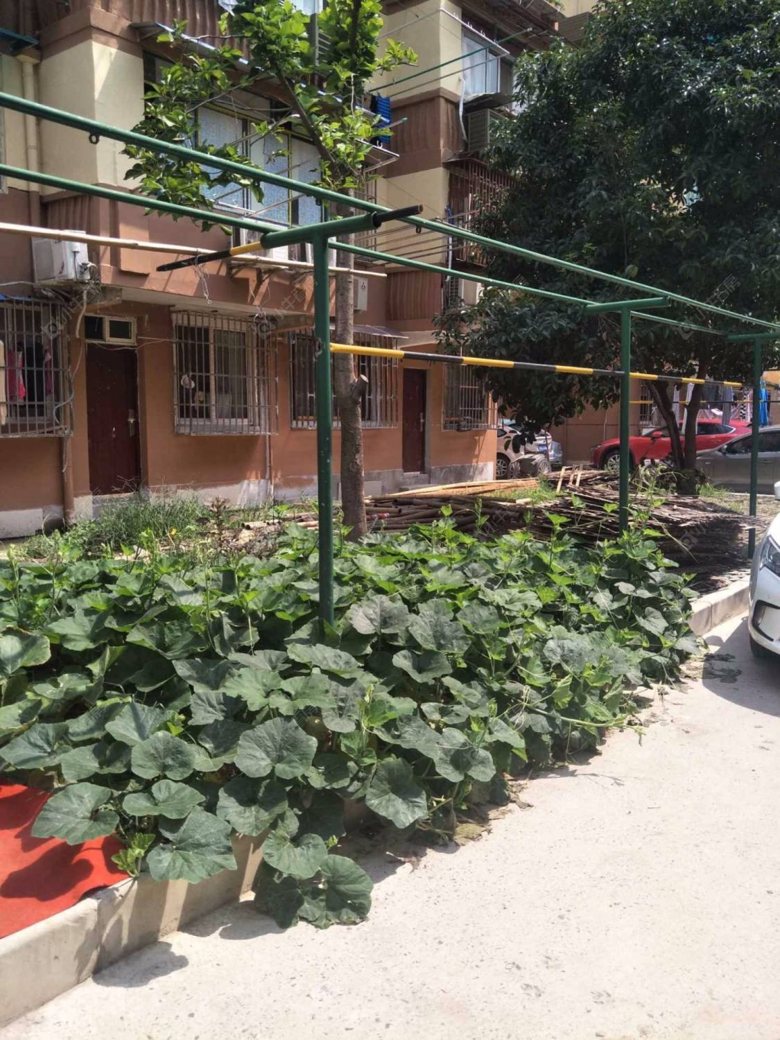 上海中兴路1321弄小区_中兴路1321弄小区null